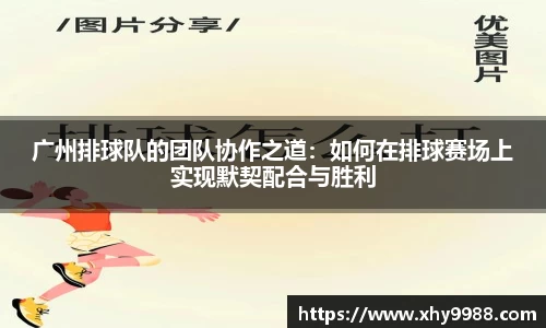 广州排球队的团队协作之道：如何在排球赛场上实现默契配合与胜利