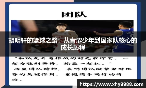 辉达娱乐官网